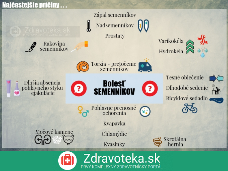 Infografika Naj Astej Ie Pr Iny Bolesti Semenn Kov Zdravoteka Sk