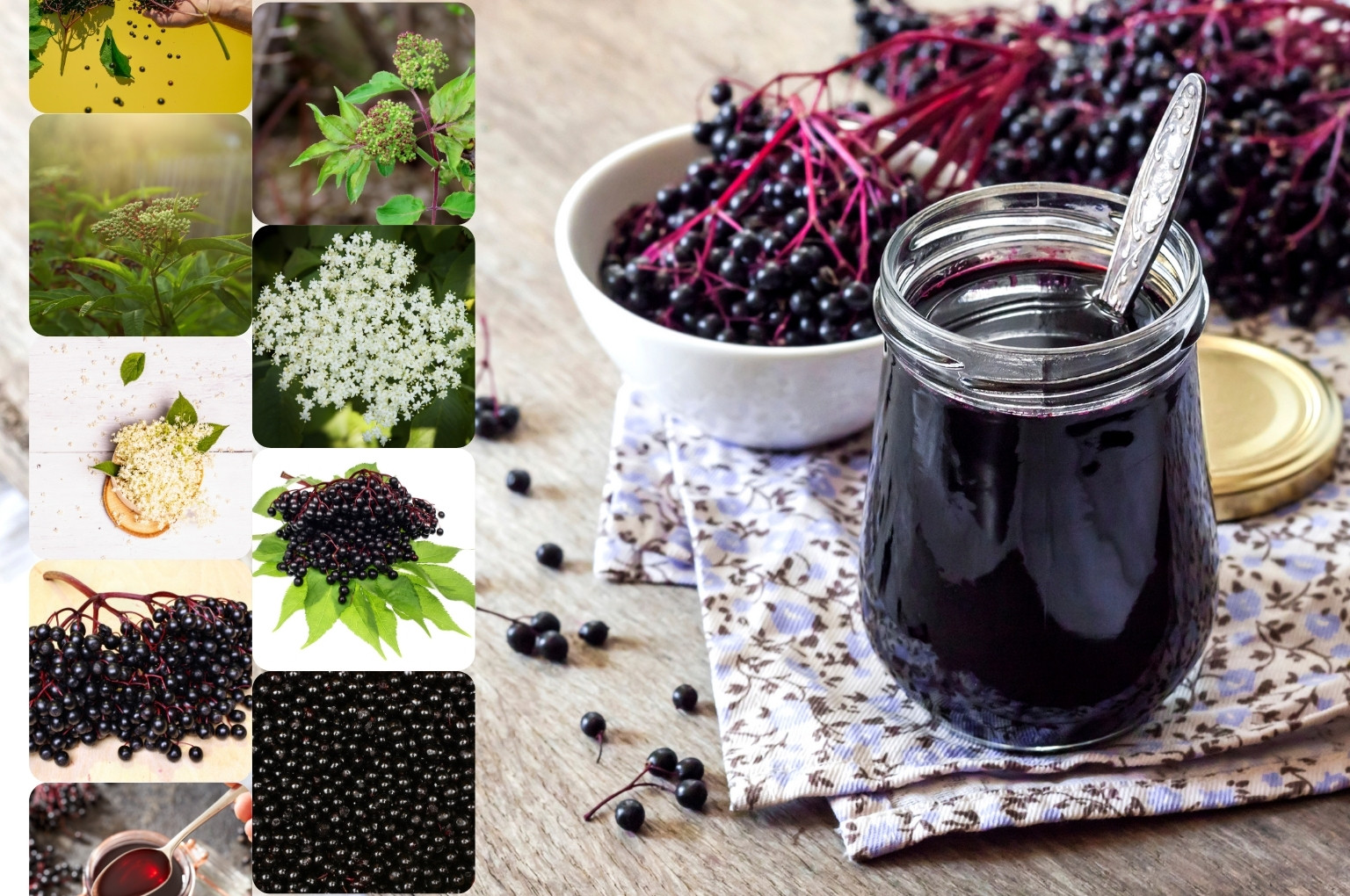 Baza čierna a jej podoby - rastlina s listami, kvetmi, kvet, plody, a sirup či nápoj v koláži obrázkov