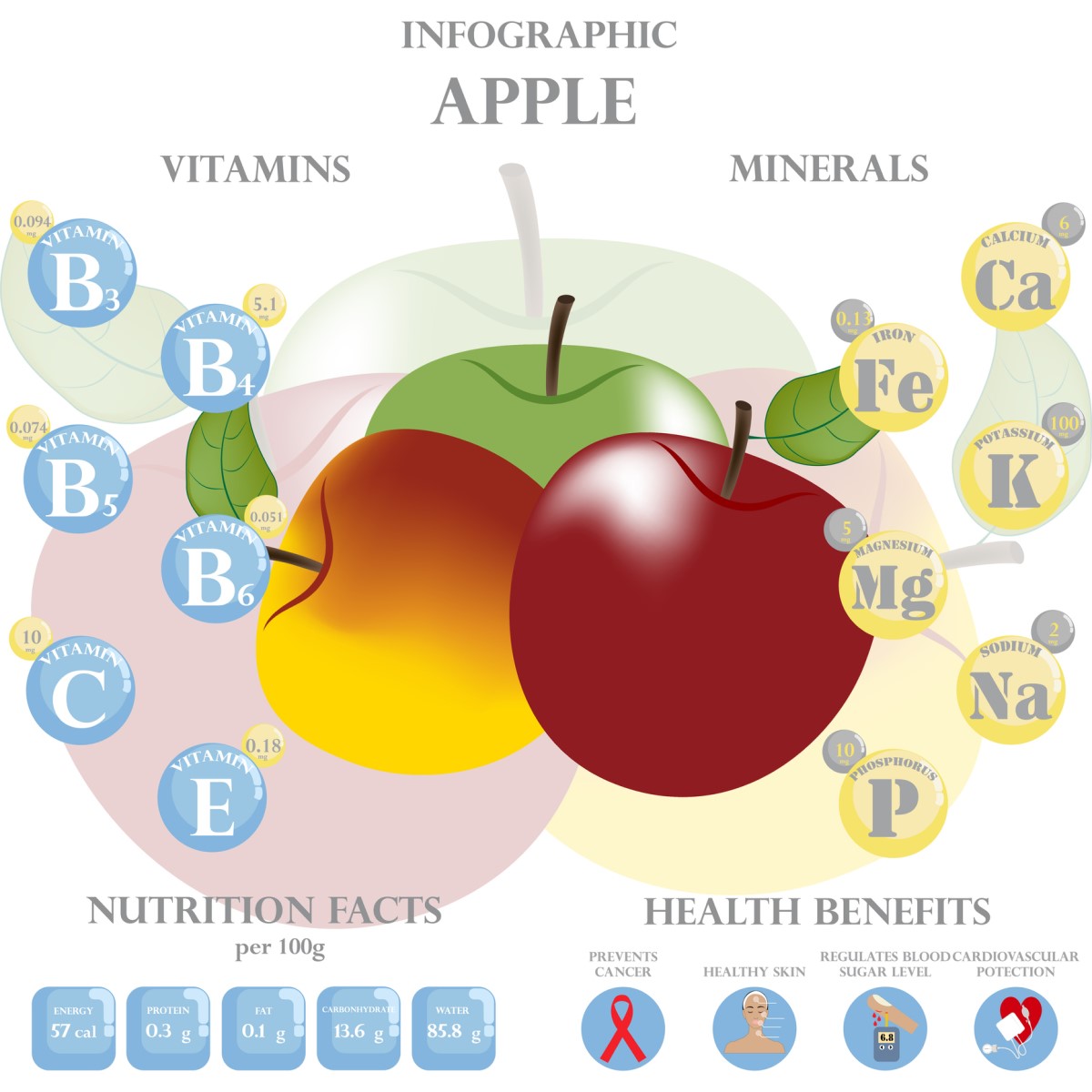 Obsah vitamínov a minerálov v jablkách. Nutričné hodnoty a zdravotné benefity pre človeka - jablká a vitamíny a minerály s približnými hodnotami - animovaná infografika