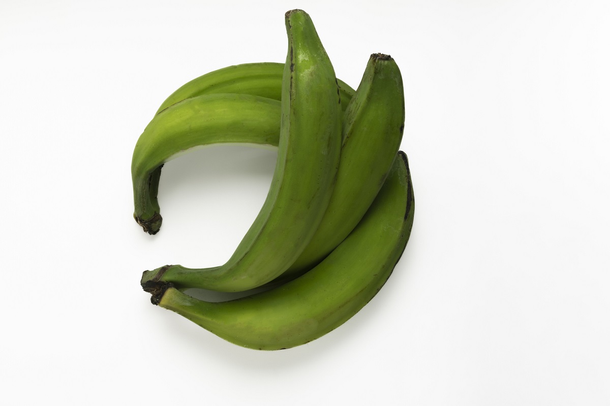Plantajn banány