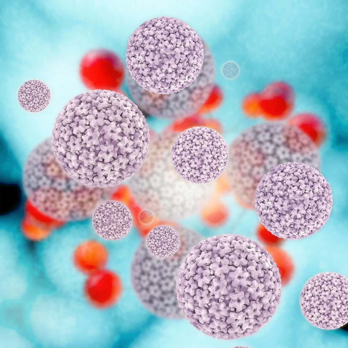 HPV virus imaging. Source.