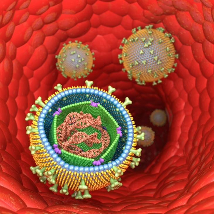 3D zobrazenie štruktúry vírusu Epstein – Barrovej (infekčnej mononukléozy) v bunkách ľudského organizmu