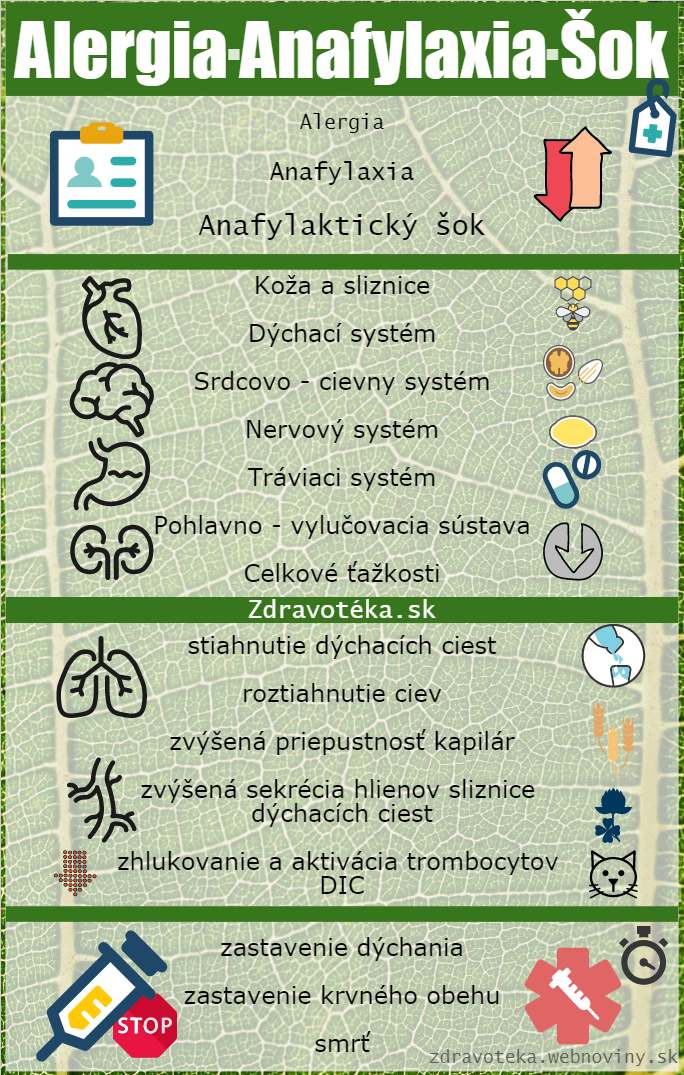Infografika znázorňuje alergény a príznaky pri anafylaxii Anafylaktický šok - infografika, príznaky, príčiny