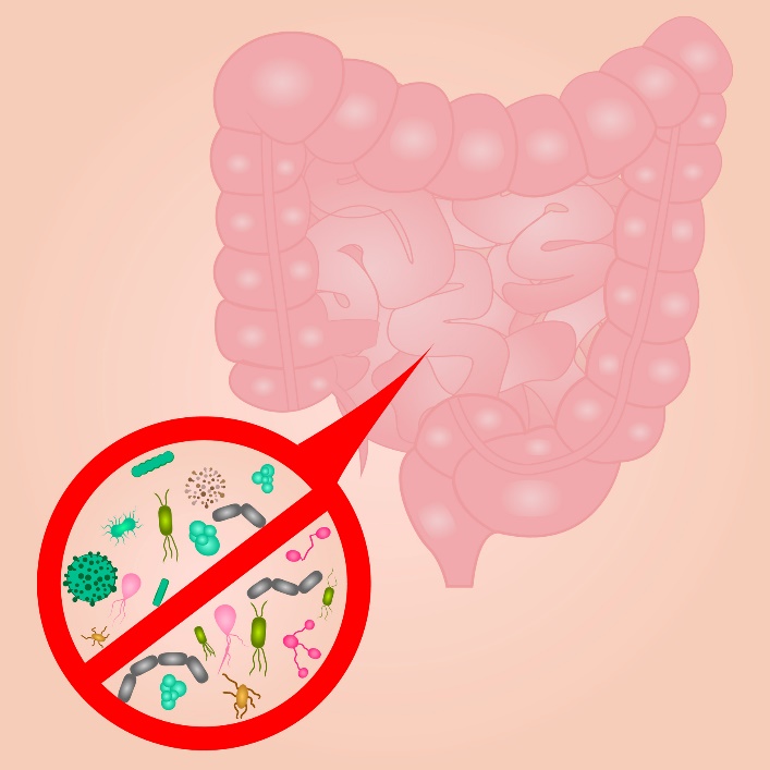 Bakteriálne prerastanie v tenkom čreve (SIBO)