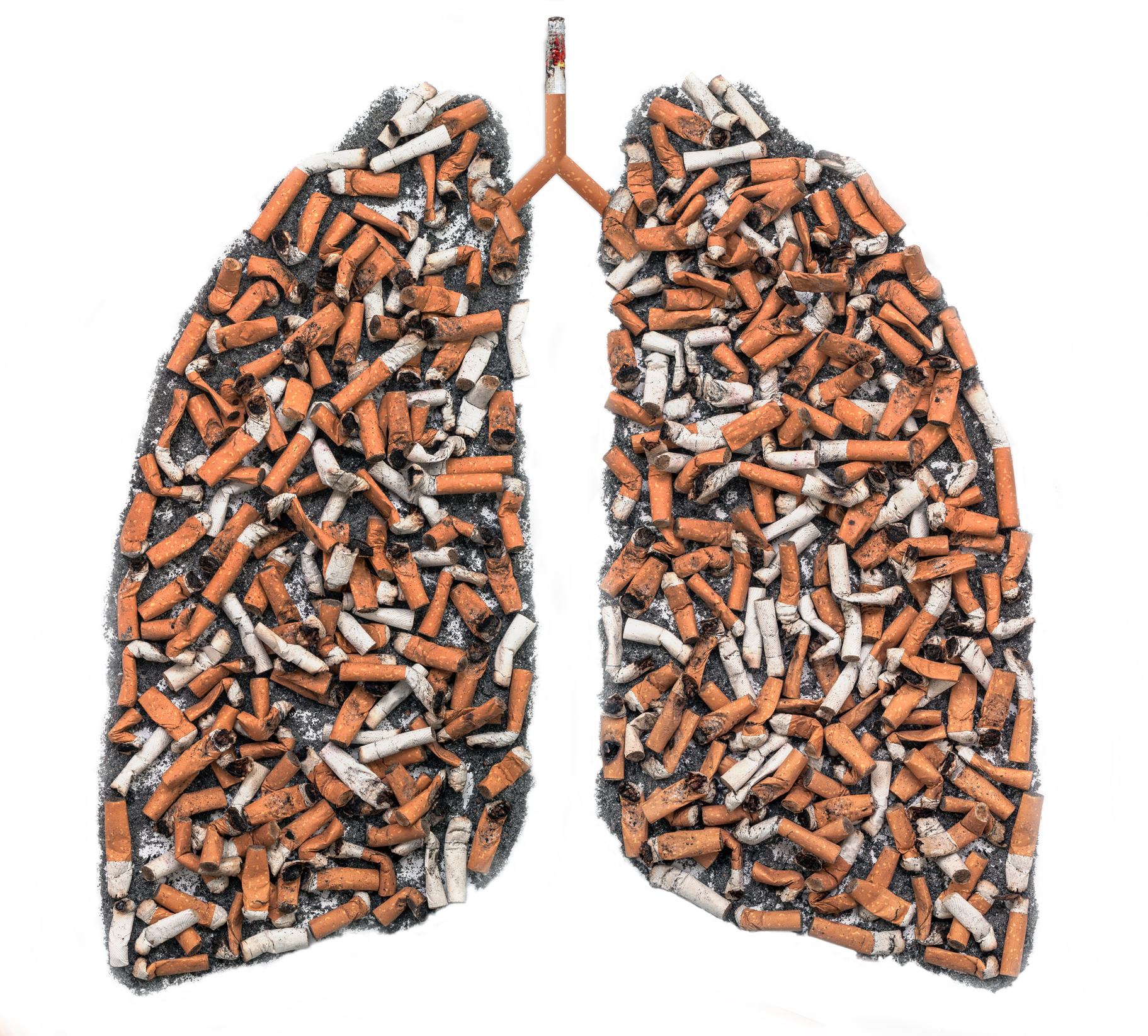 Fajčiarske pľúca - cigaretové ohorky znázorňujú znečistenie pľúc pri fajčení