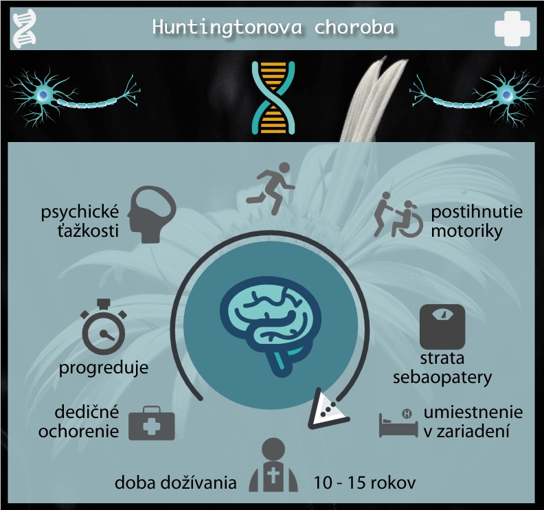 Infografika ku Huntingtonovej chorobe Huntingtonova choroba - infografika