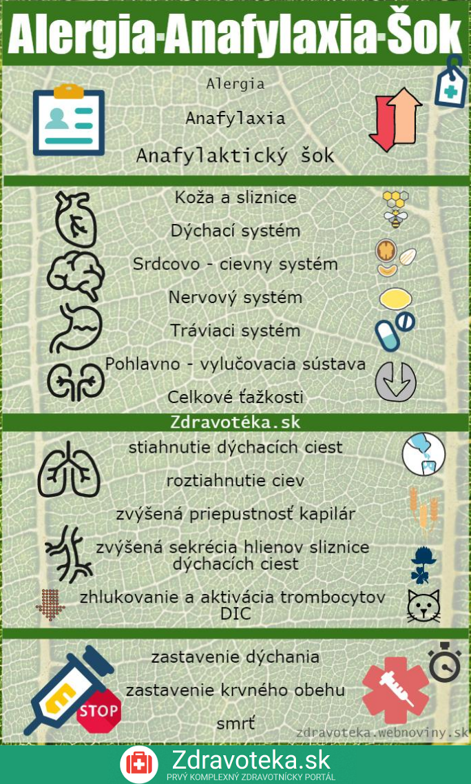 Anafylaktický šok - infografika, príznaky, príčiny