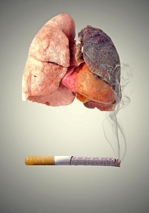 Pľúca zničené fajčením a rakovinou symbolické znázornenie