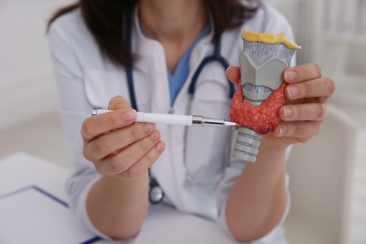 Anatomický model Štítnej žľazy - lekárka ukazuje na model perom, drží ho v ruke