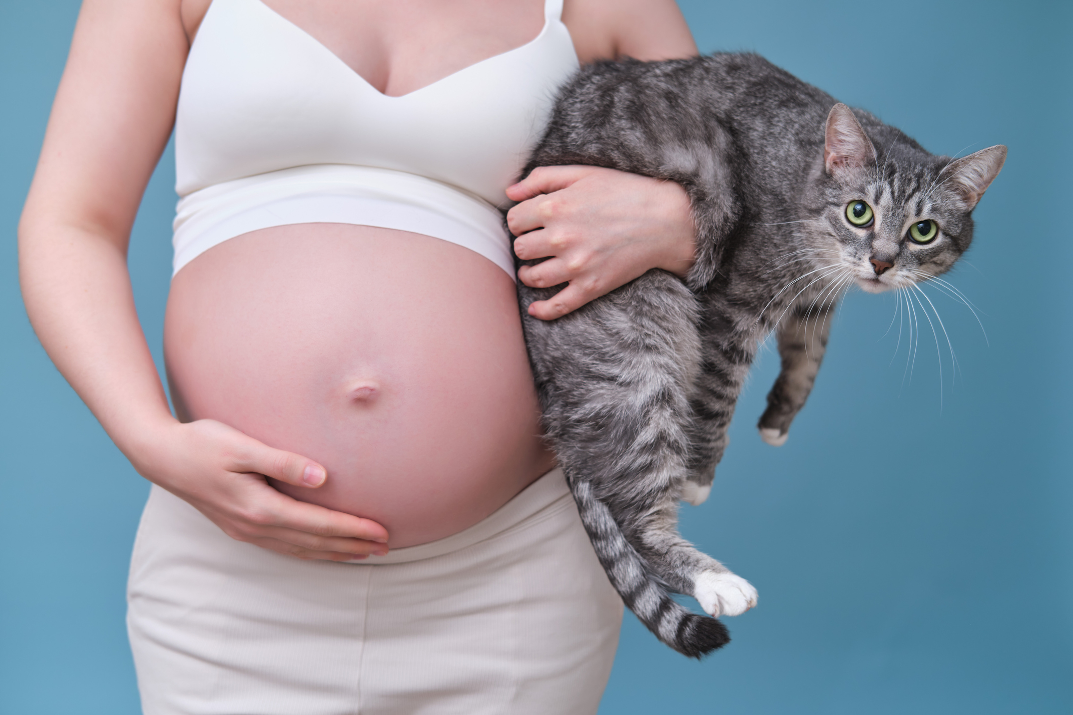 Tehotná žena drží v rukách mačku