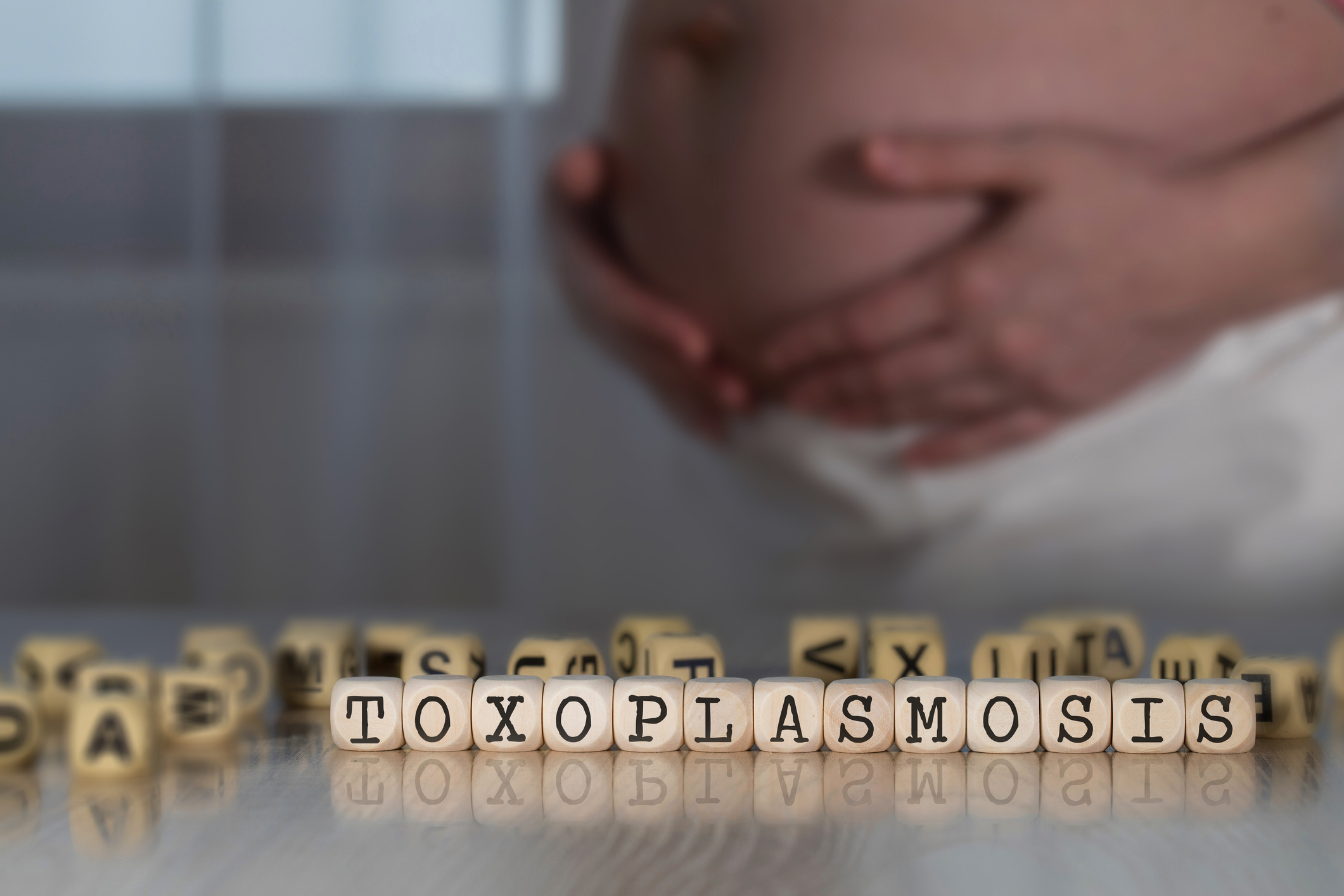 Toxoplazmóza: Čo je to, ako sa prejavuje a šíri? V tehotenstve hrozí komplikáciami