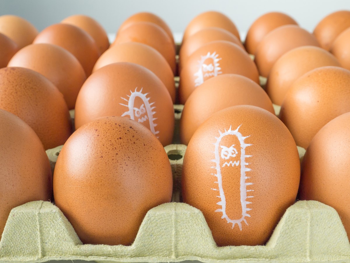 Salmonela nakreslená na vajíčku, obal s vajíčkami