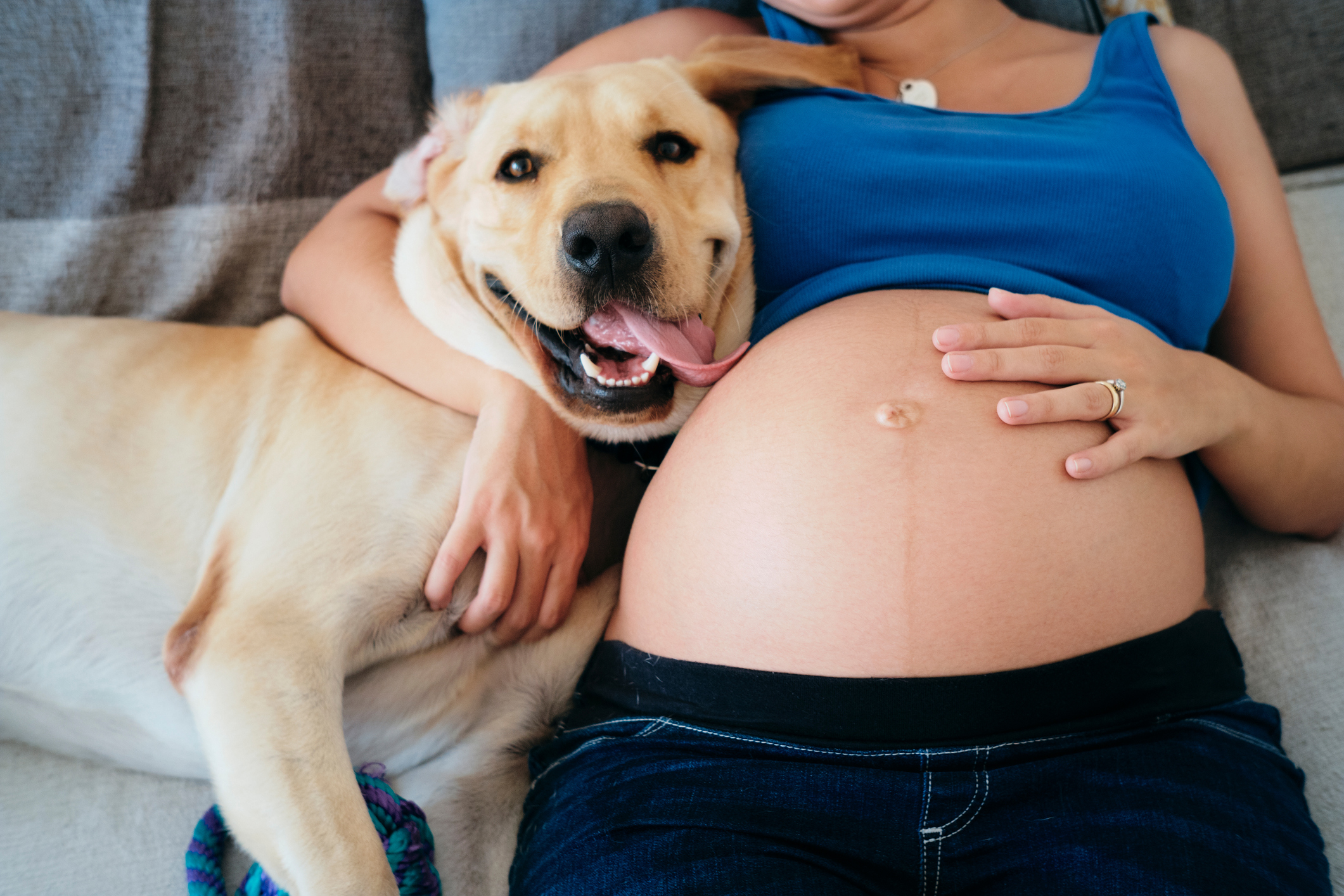 Tehotná žena a domáci miláčikovia. Zdroj foto: Getty Images