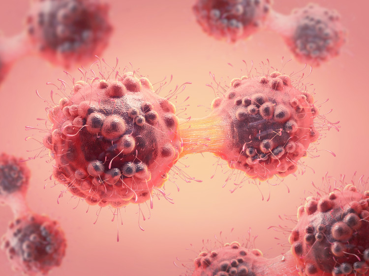 delenie nádorových buniek, schematické znázornenie