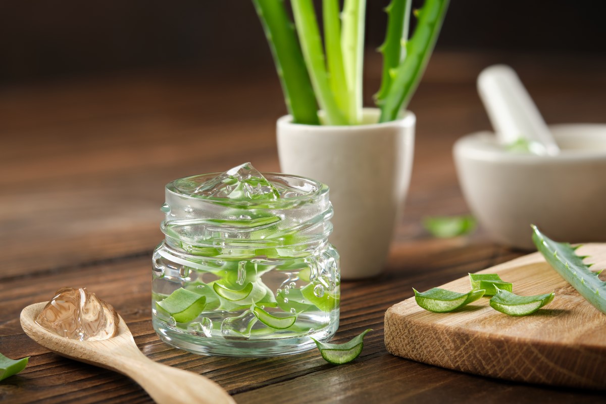 Aloe vera môže pomôcť znížiť zápal a podporiť hojenie pokožky postihnutej akné. Zdroj foto: Shutterstock Čerstvá rastlina aloe vera v črepníku. Vedľa nakrájané listy aloe vera, gél z aloe vera v pohári a na lyžičke. Produkt pre zdravú pleť, proti akné.