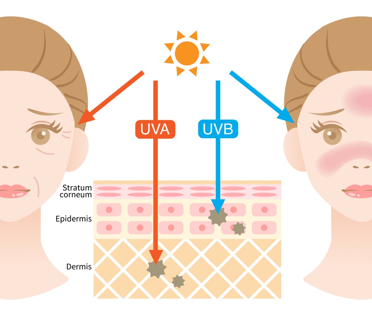 UVA a UVB žiarenie a ich vplyv na kožu - animovaný model - tváre, znázornenie UVA a UVB vplyv na pokožku