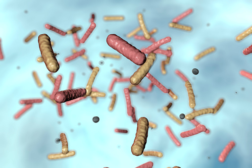 mikroskopicky znázornené tyčinkové baktérie