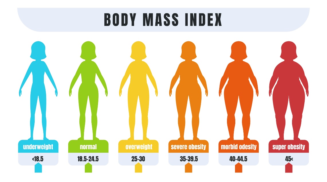 BMI (Body Mass index)