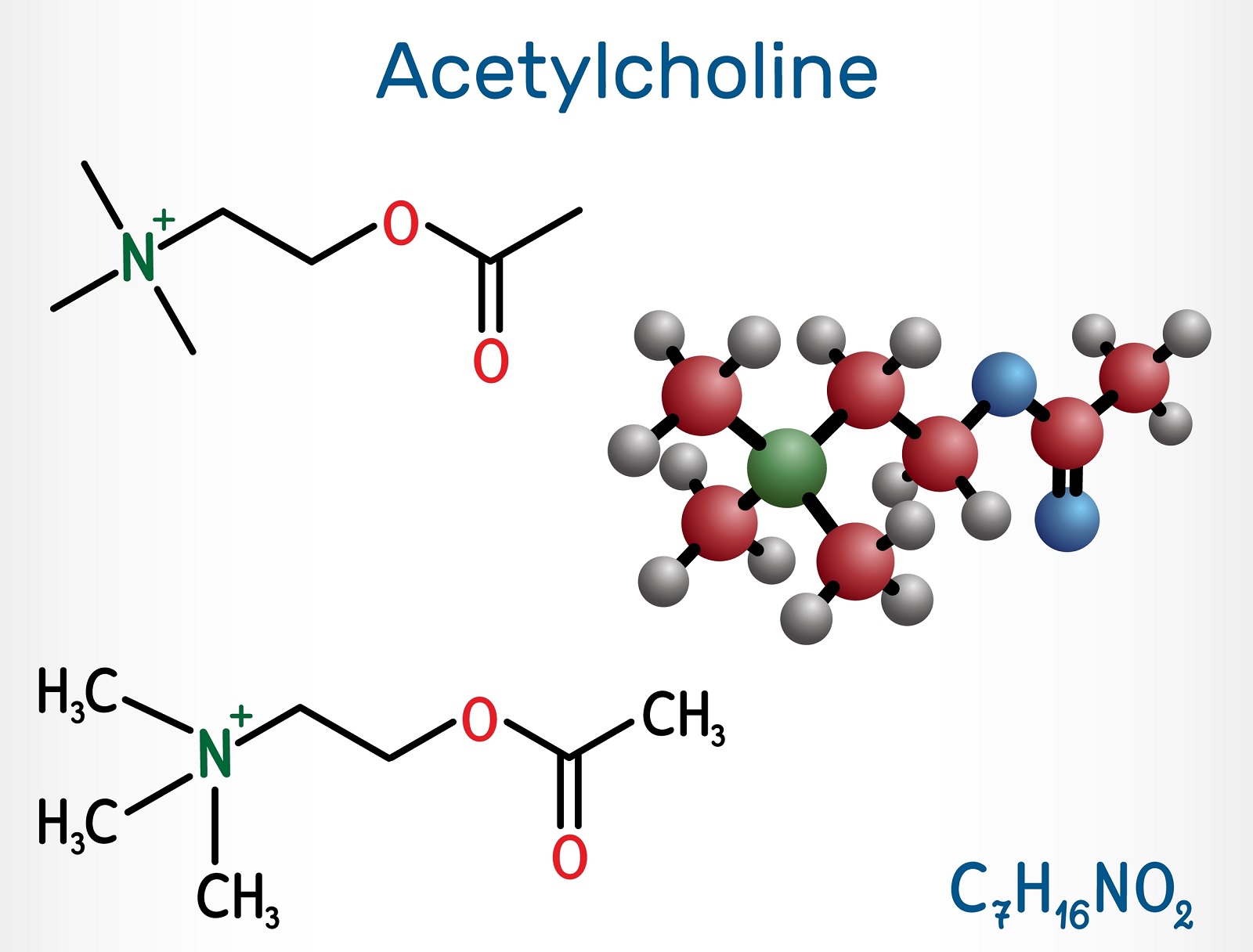 Z hľadiska štruktúry je acetylcholín esterom cholínu a kyseliny octovej (acetylový zvyšok). 