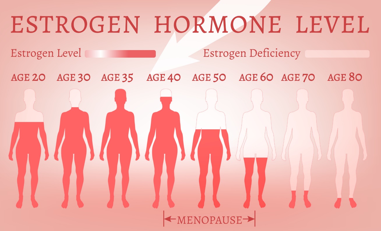 Hladina estrogénu v závislosti od veku