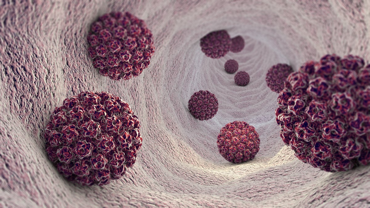 HPV - Human papillomavirus - ľudský papilomavírus