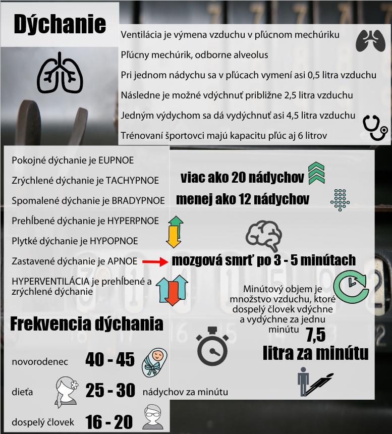 Informácie o dýchaní Infografika uvádza informácie o dýchaní, čo je dýchanie, pľúcny mechúrik, aké množstvo sa vdýchne pri jednom nádychu, aké poznáme dýchania, aká je frekvencia dýchania a aký je minútový objem