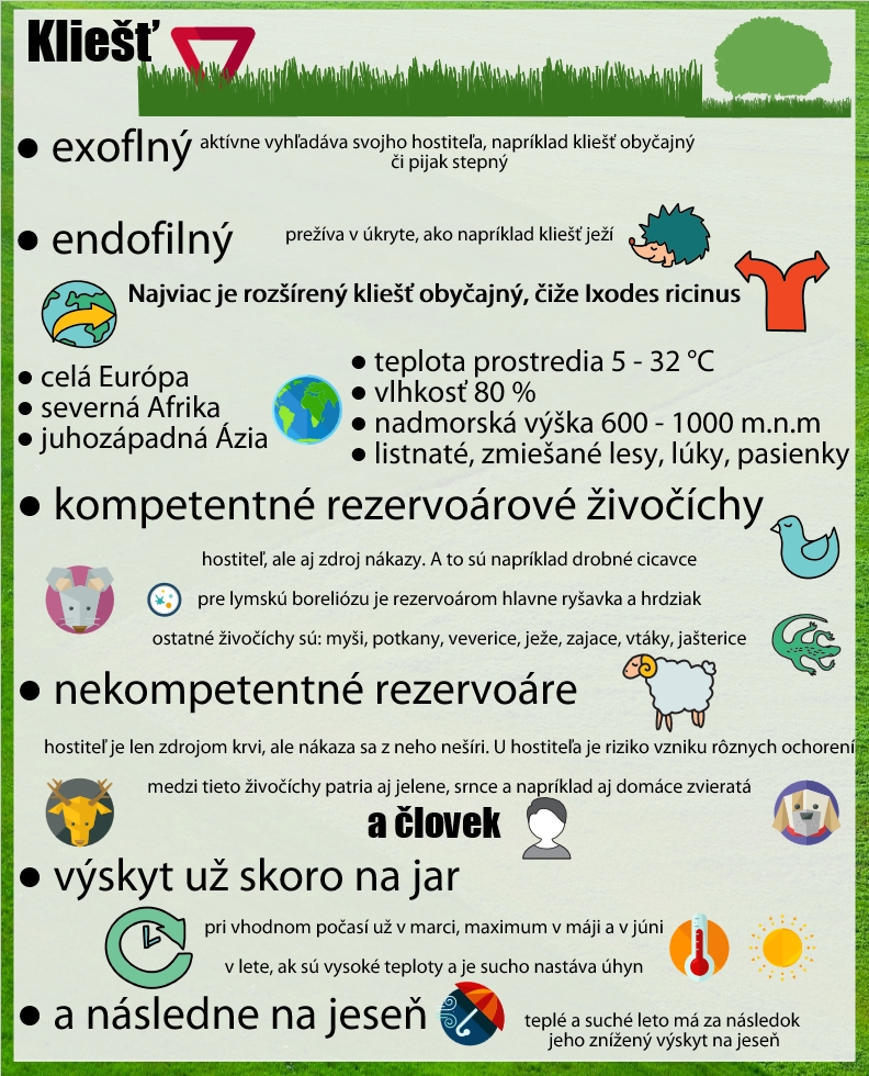 Informácie o kliešťovi Infografika o kliešťoch, exofilný a endofilný druh, kde sa nachádzajú, aké podmienky sú vhodné a kto je ich hostiteľom a prenášačom ochorení, sezónny výskyt