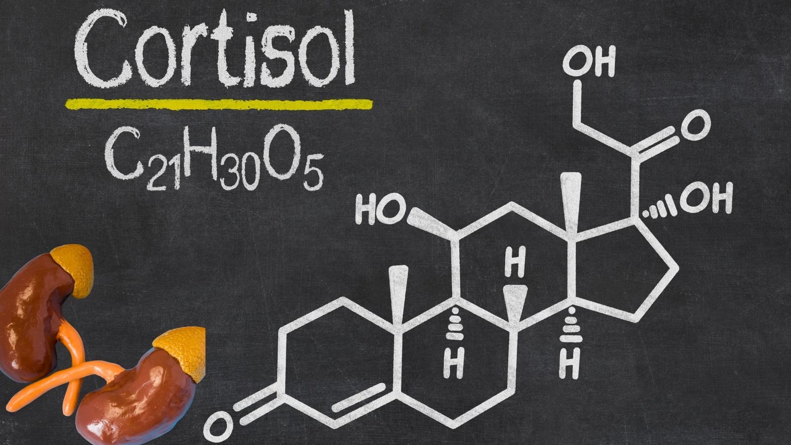 Kortizol a jeho chemický vzorec - a obličky s nadobličkami, ako miestom jeho tvorby