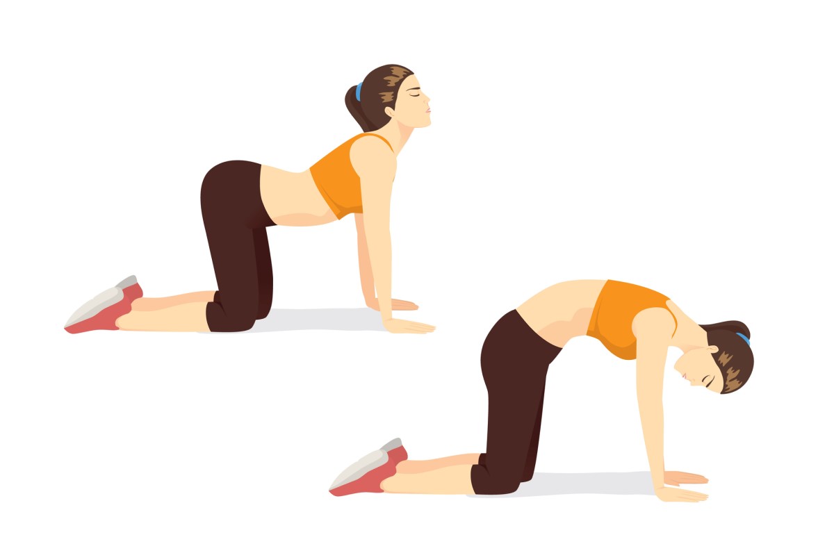Žena cvičí svaly chrbta - mačací chrbát - animovaný obrázok
