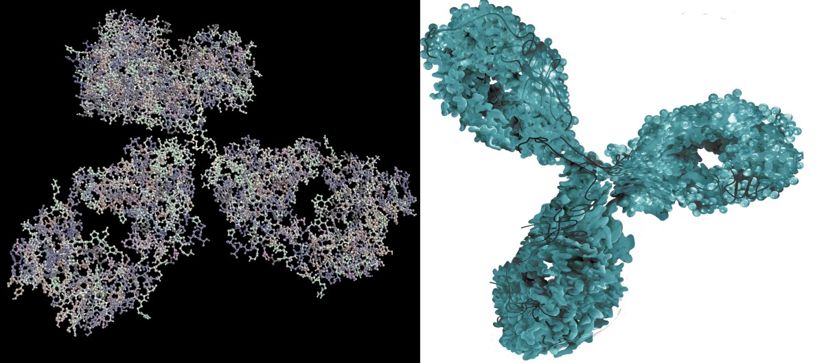 Molekulárne zobrazenie monoklonovej protilátky - biologický liek
