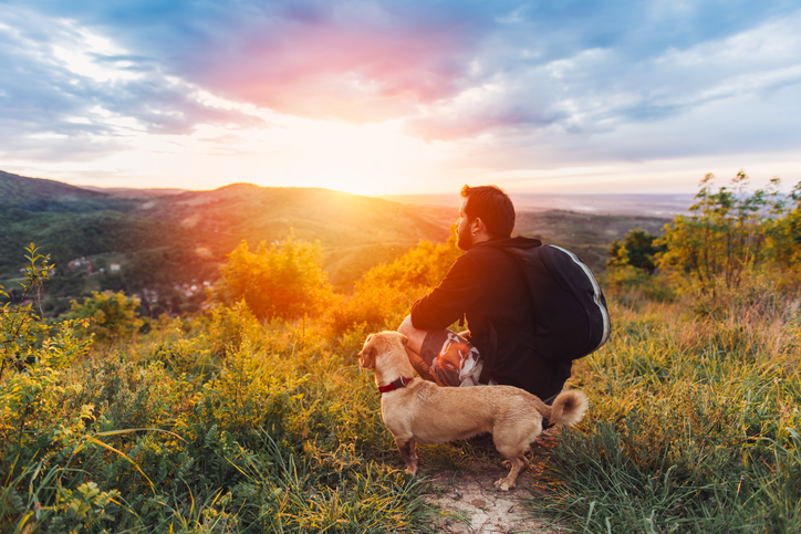 Muž so psom v prírode, sledujúci východ slnka