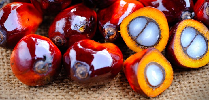 Plody palmy olejnej, dužina, jadro, z dužiny sa vyrába palmový olej, z jadra jadropalmový olej