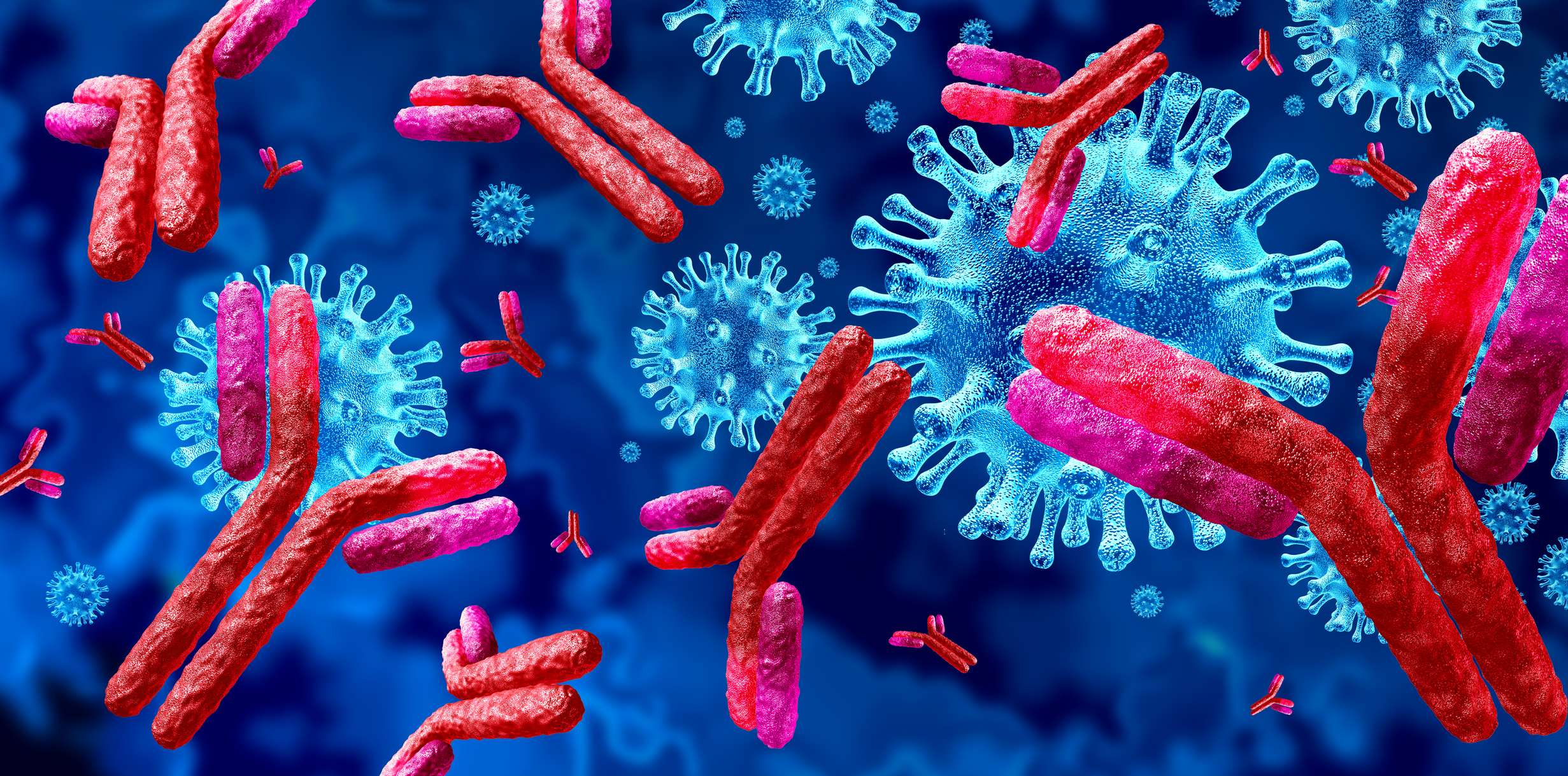 3D model zobrazenia protilátok, ktoré napádajú cudzorodé vírusy