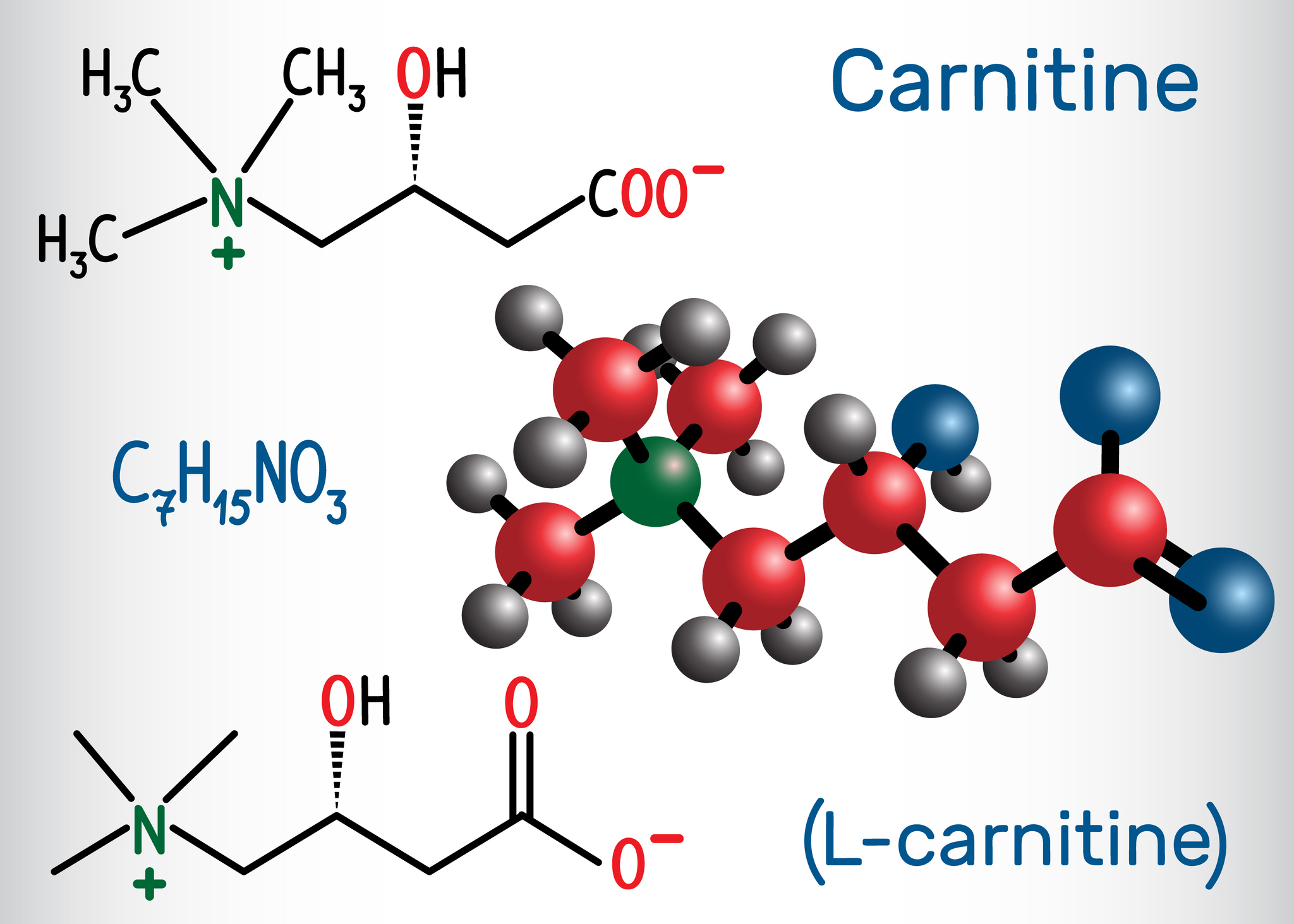 Štrukturálny chemický vzorec a model molekuly L-karnitínu