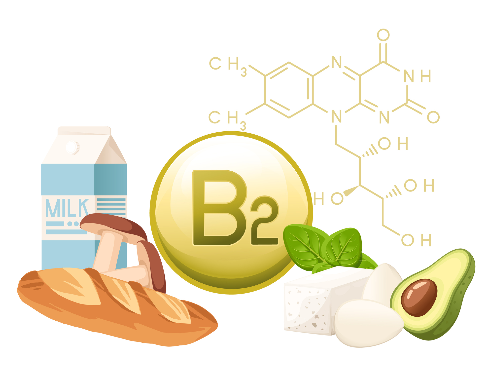 Zdroje vitamínu B2 - potraviny, pečivo, mlieko, avokádo, vajcia, sója a chemický vzorec  - animovaný obrázok