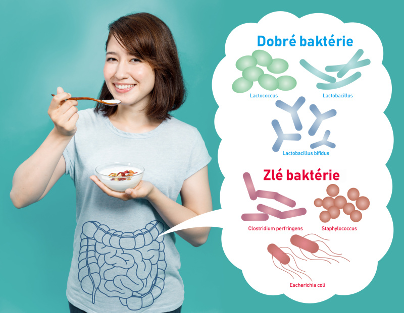 Žena s miskou bieleho jogurtu, obrázky zlých a dobrých baktérií