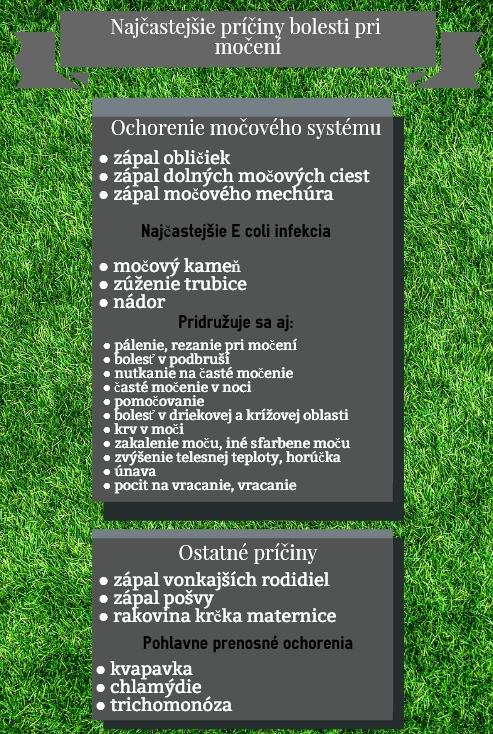 Súhrn najčastejších príčin bolesti pri močení Infografika znázorňuje najčastejšie príčiny bolesti pri močení