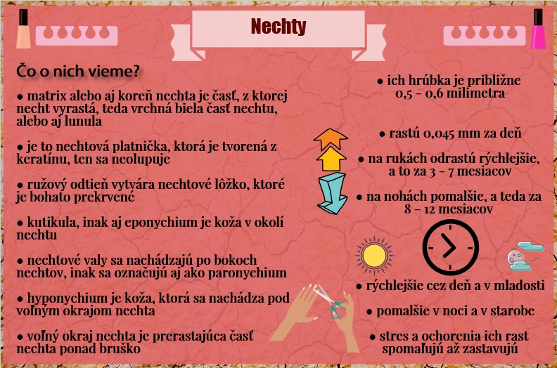 Čo vieme o našich nechtoch? Infografika s informáciami o nechtoch