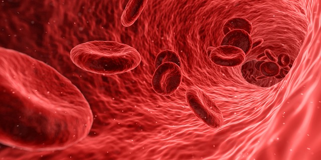 krv, červená farba, červená krvinky