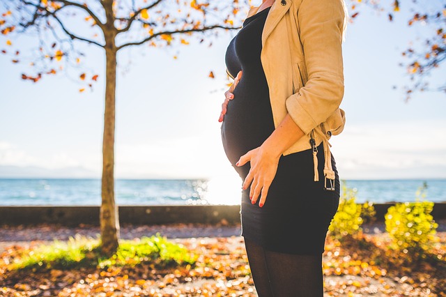 tehotná žena stojí pred strmom jeseň