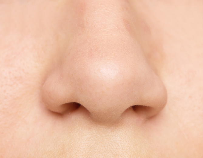 Suchý nos