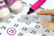 Ovulácia, výpočet plodných a neplodných dní. Ako plánovať tehotenstvo?