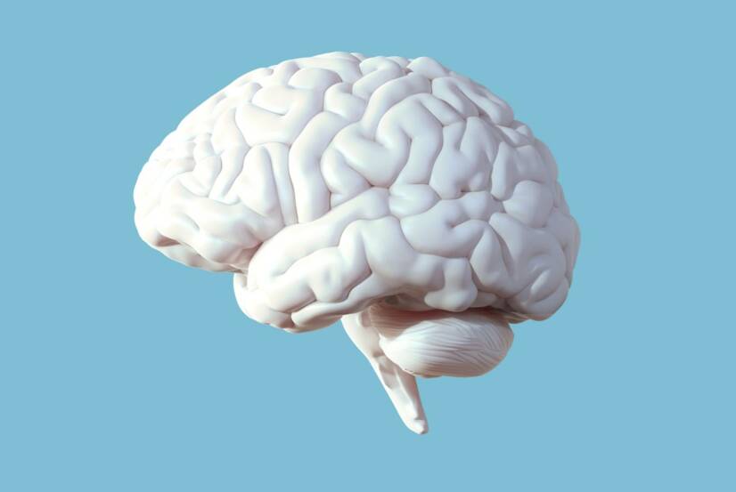 Absces mozgu: Čo je to a ako sa prejavuje? Prečo vzniká infekcia mozgu?