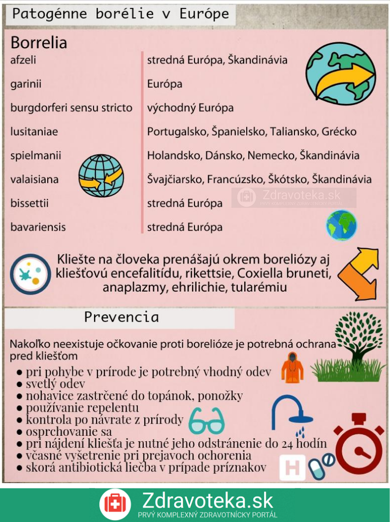 Infografika: Aké druhy boreliózy sú rozšírené v Európe a aká je prevencia pred nákazou