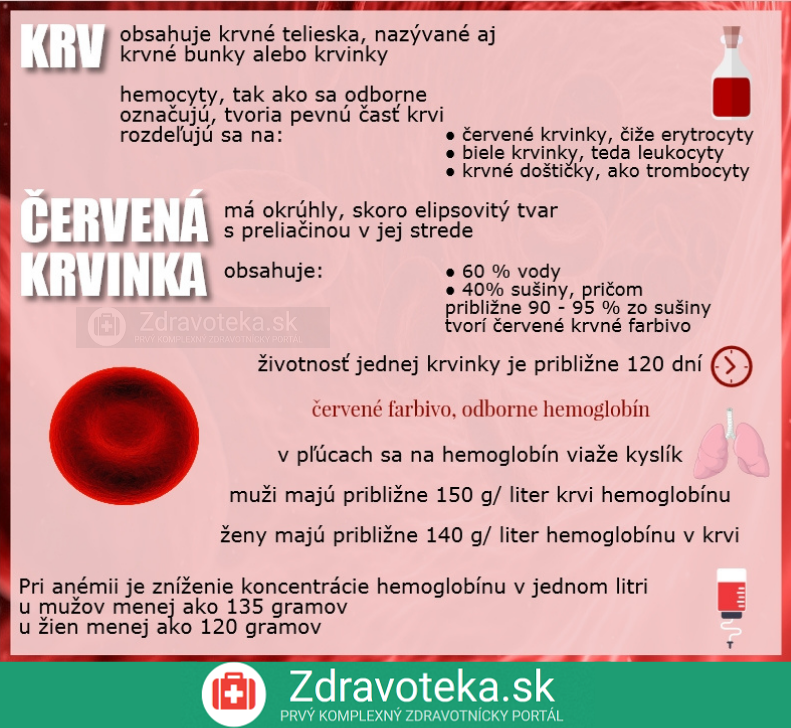 Infografika: Stručné informácie o krvi, červenej krvinke a hemoglobíne