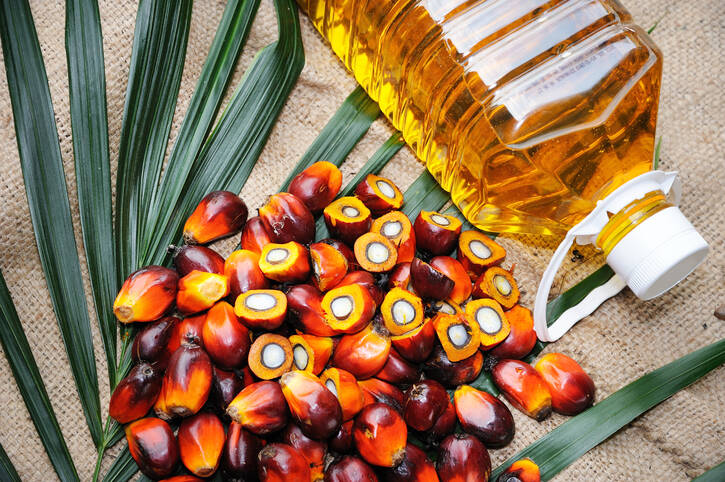 Palmový olej a vplyv na zdravie: Prečo by sme ho nemali používať?