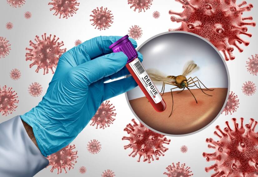 Horúčka Dengue: Čo to je? Príznaky, príčiny a liečba + Prenos a komáre