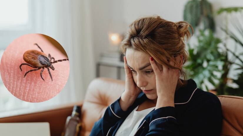 Našli ste si kliešťa? Pozor na kliešťovú encefalitídu: Aké má príznaky? Očkovanie ako účinná prevencia