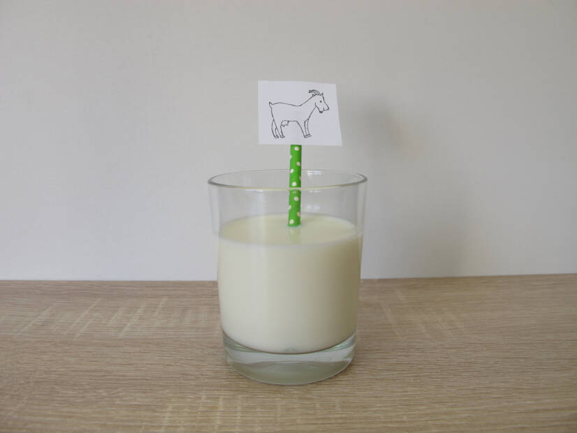 Kozie mlieko - jeho zloženie a účinky na zdravie