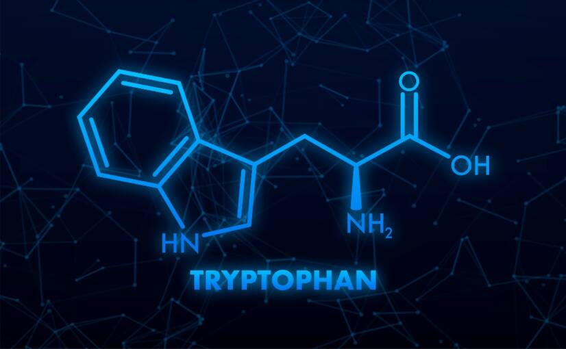 L-tryptofán a jeho účinky na organizmus. Pomáha na dobrú náladu a spánok?